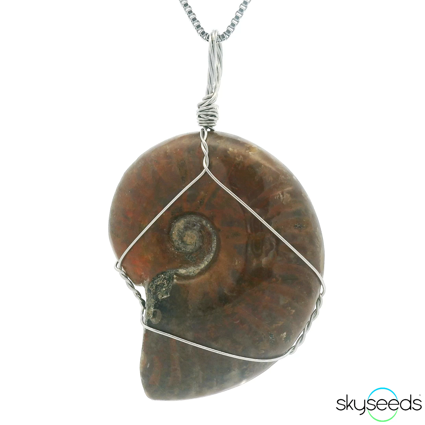 
                  
                    Ammonite Pendant
                  
                