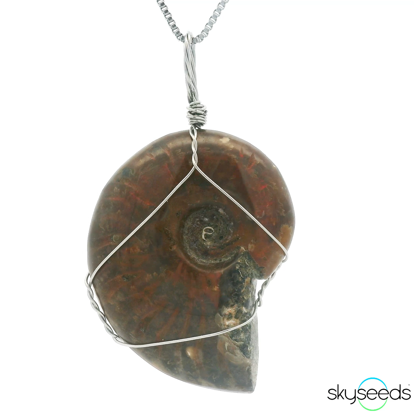 
                  
                    Ammonite Pendant
                  
                