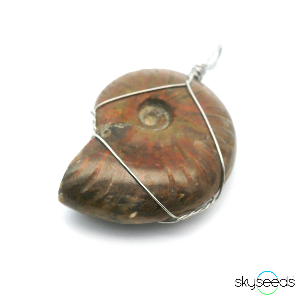 Ammonite Pendant