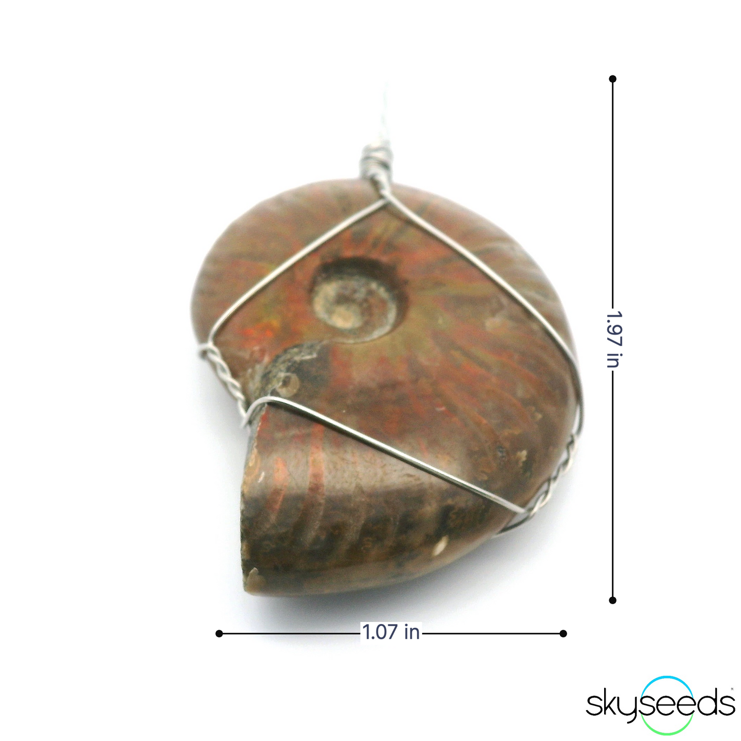 
                  
                    Ammonite Pendant
                  
                