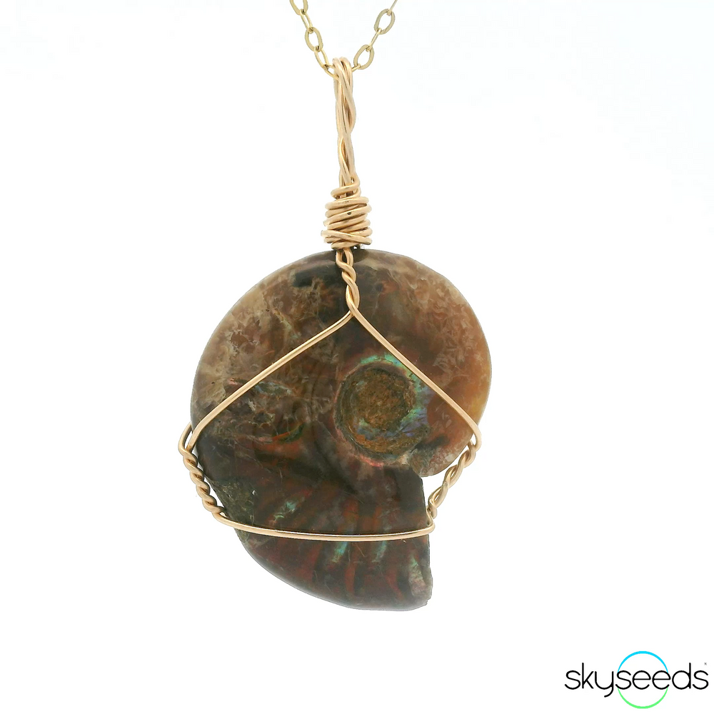 
                  
                    Ammonite Pendant
                  
                