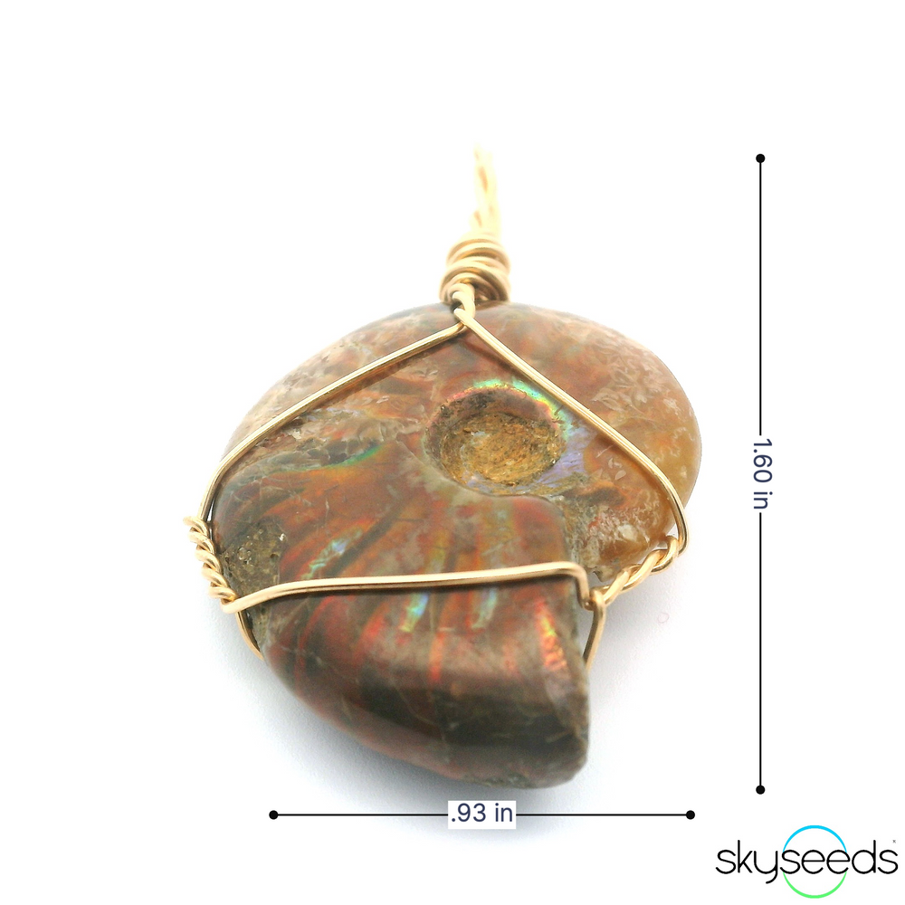 
                  
                    Ammonite Pendant
                  
                