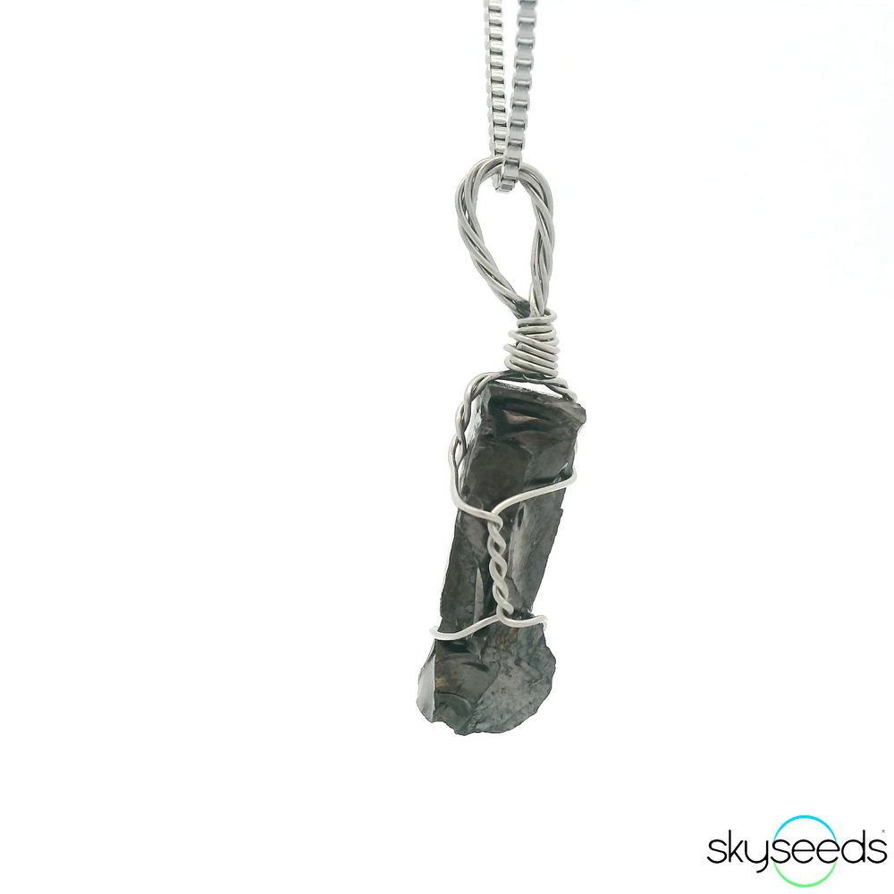 
                  
                    Shungite Pendant
                  
                