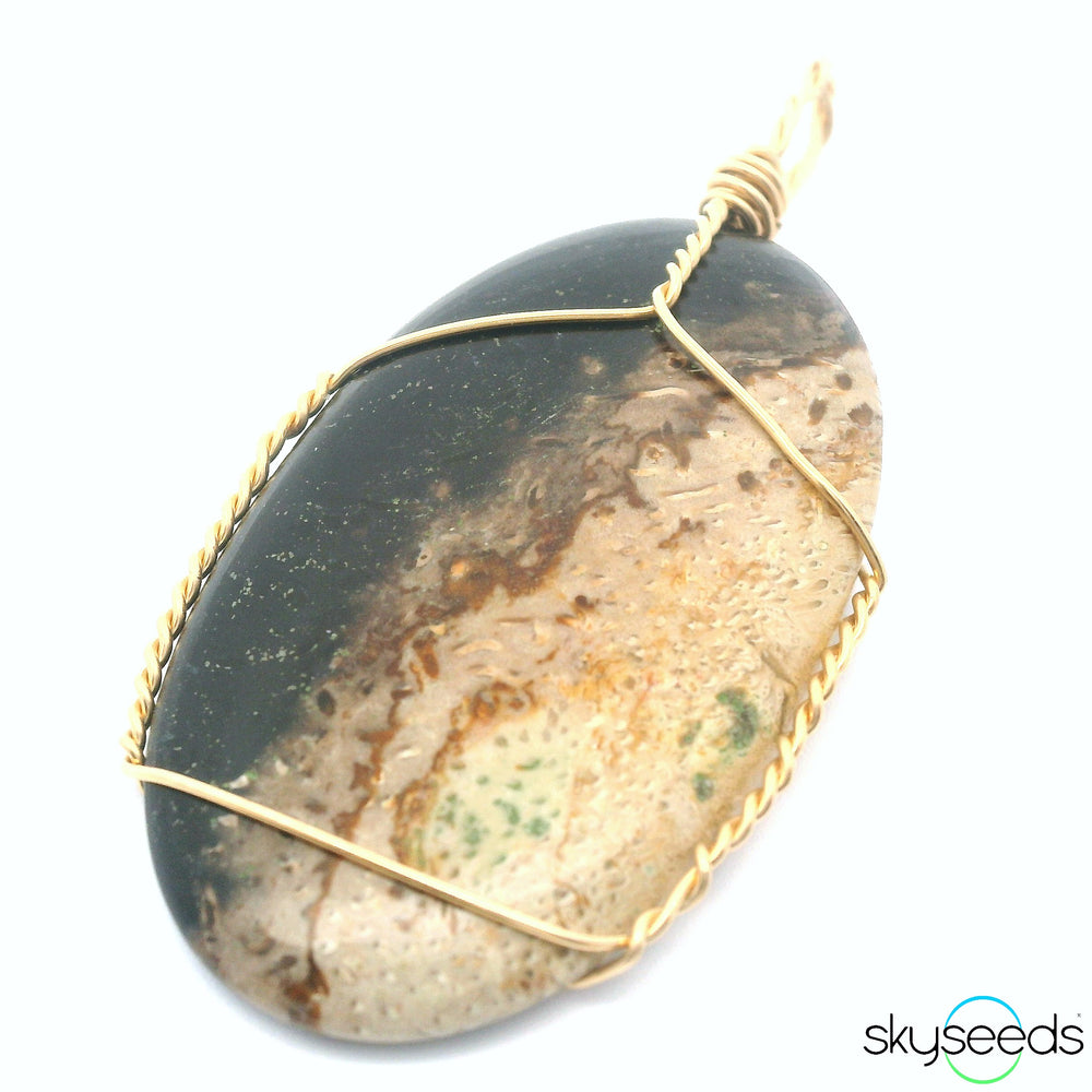 Fossilized Palm Root Pendant