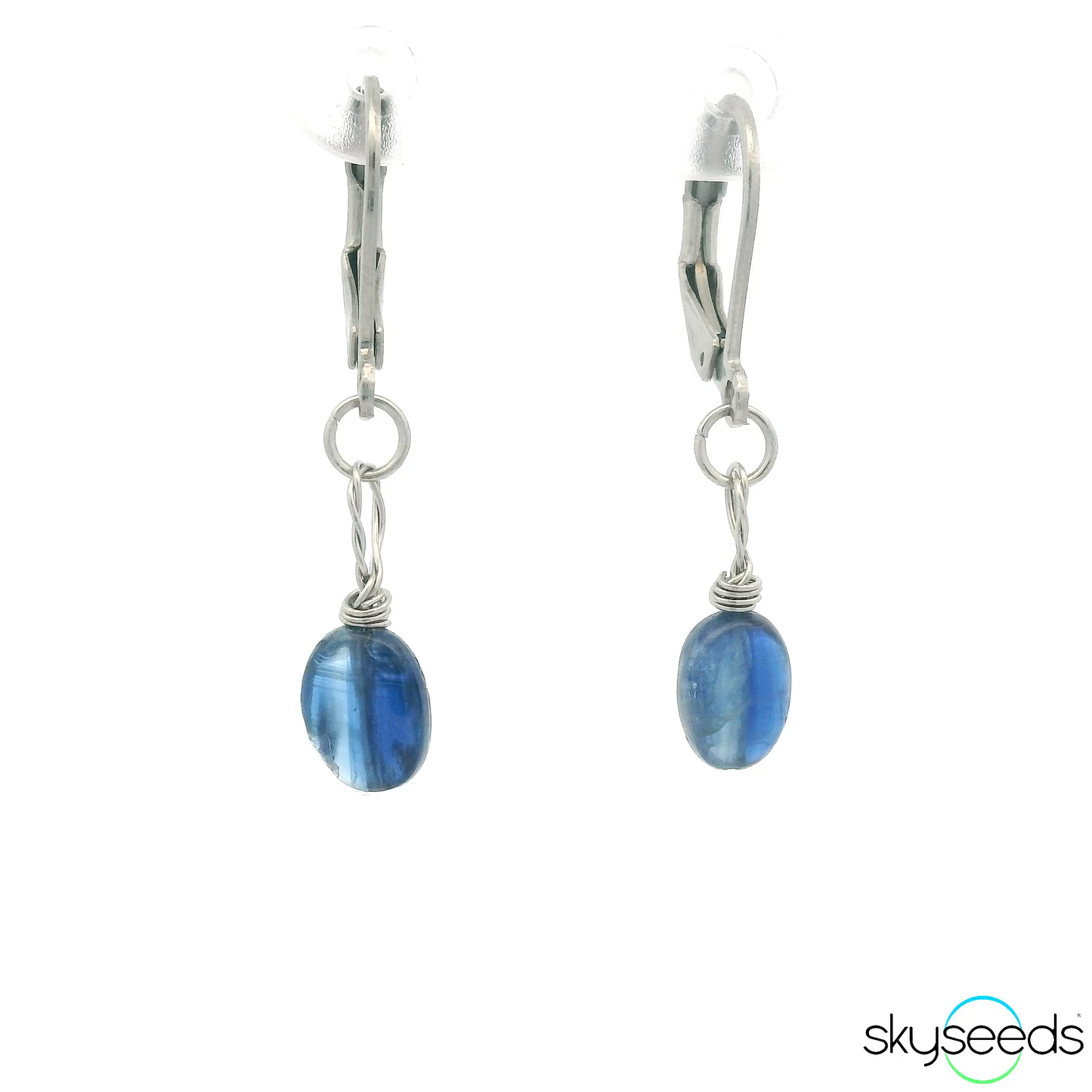 
                  
                    Blue Kyanite Earrings
                  
                