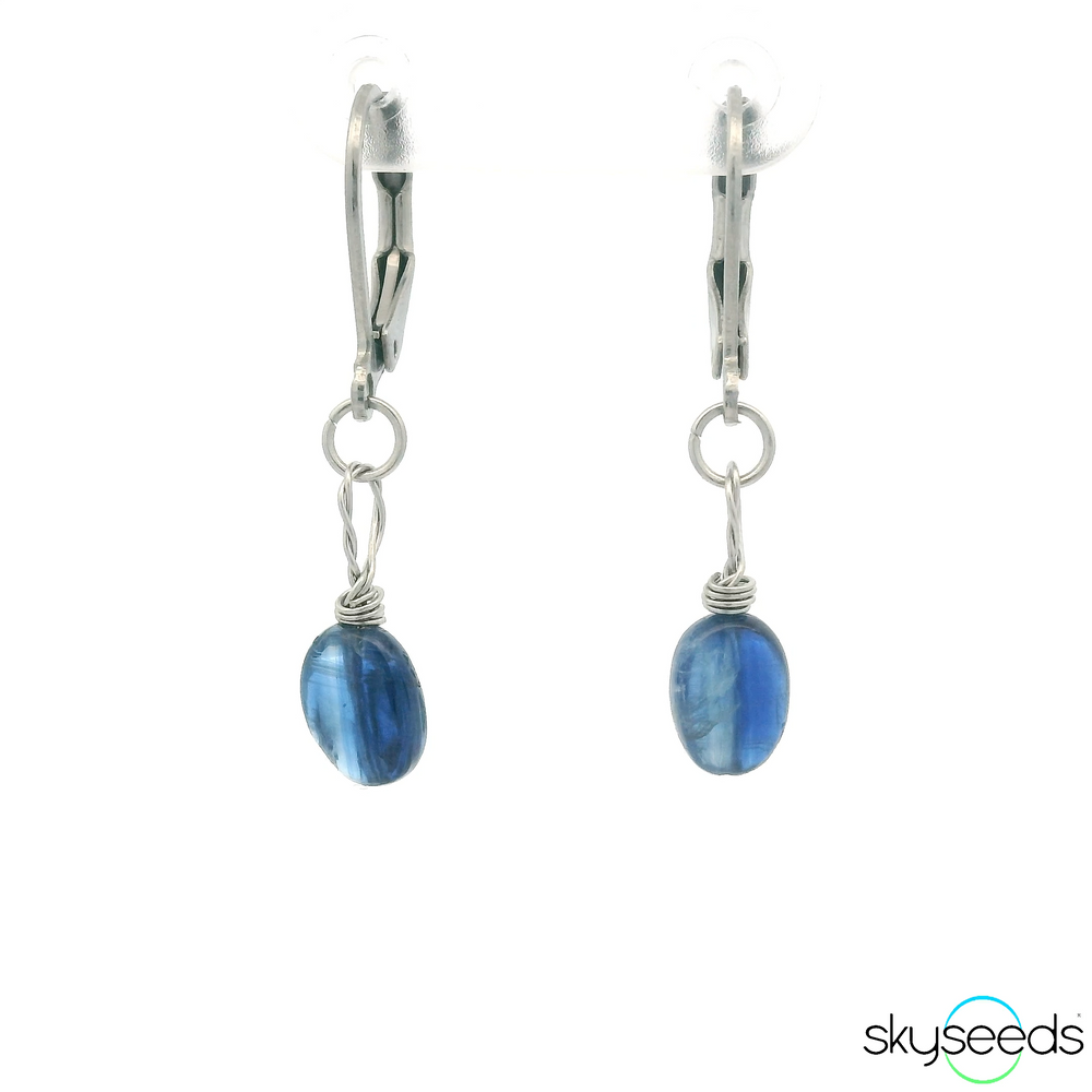 
                  
                    Blue Kyanite Earrings
                  
                