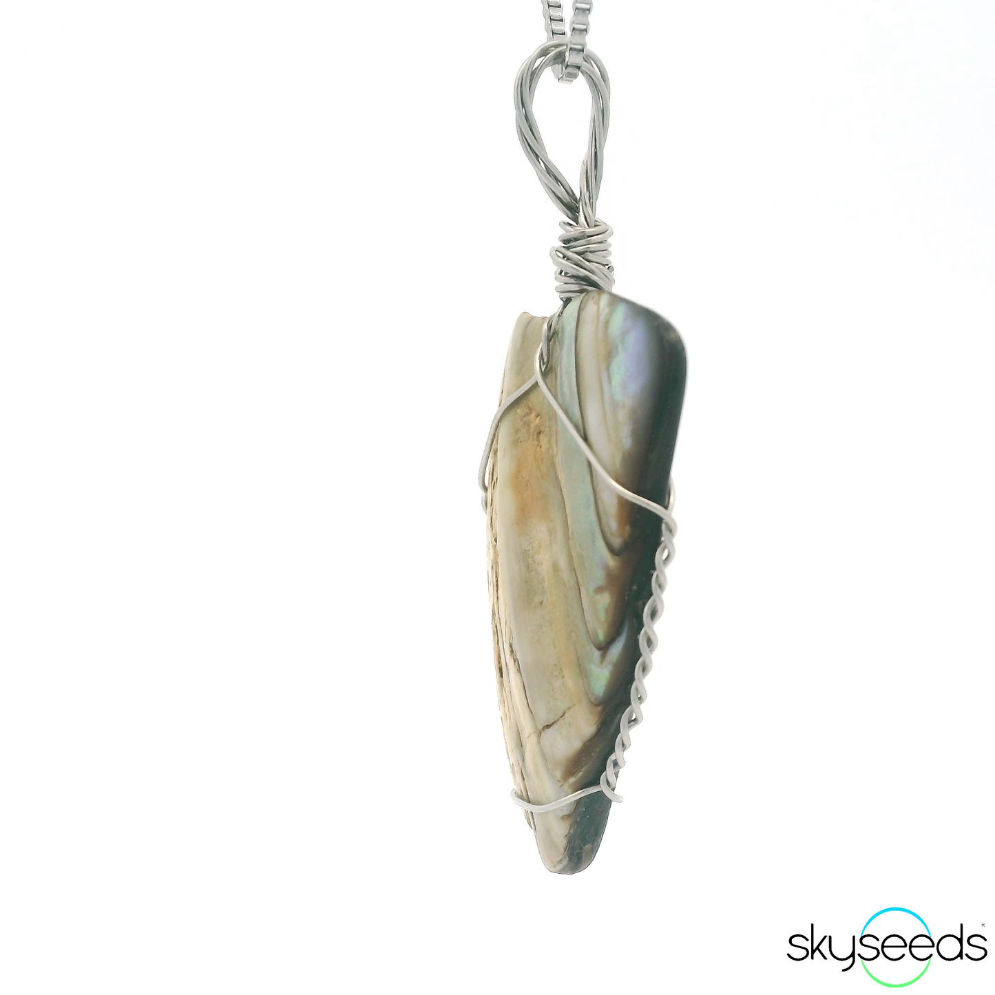 
                  
                    Abalone Shell - Stainless Steel Pendant
                  
                