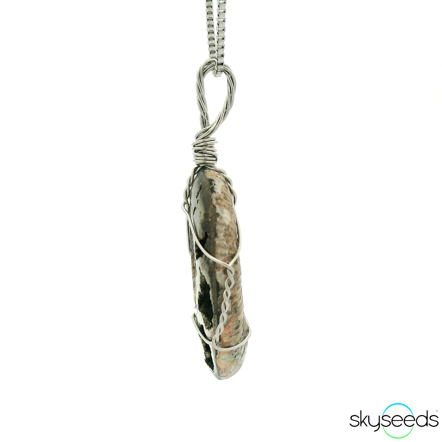 
                  
                    Pyritized Ammonite - Stainless Steel Pendant
                  
                