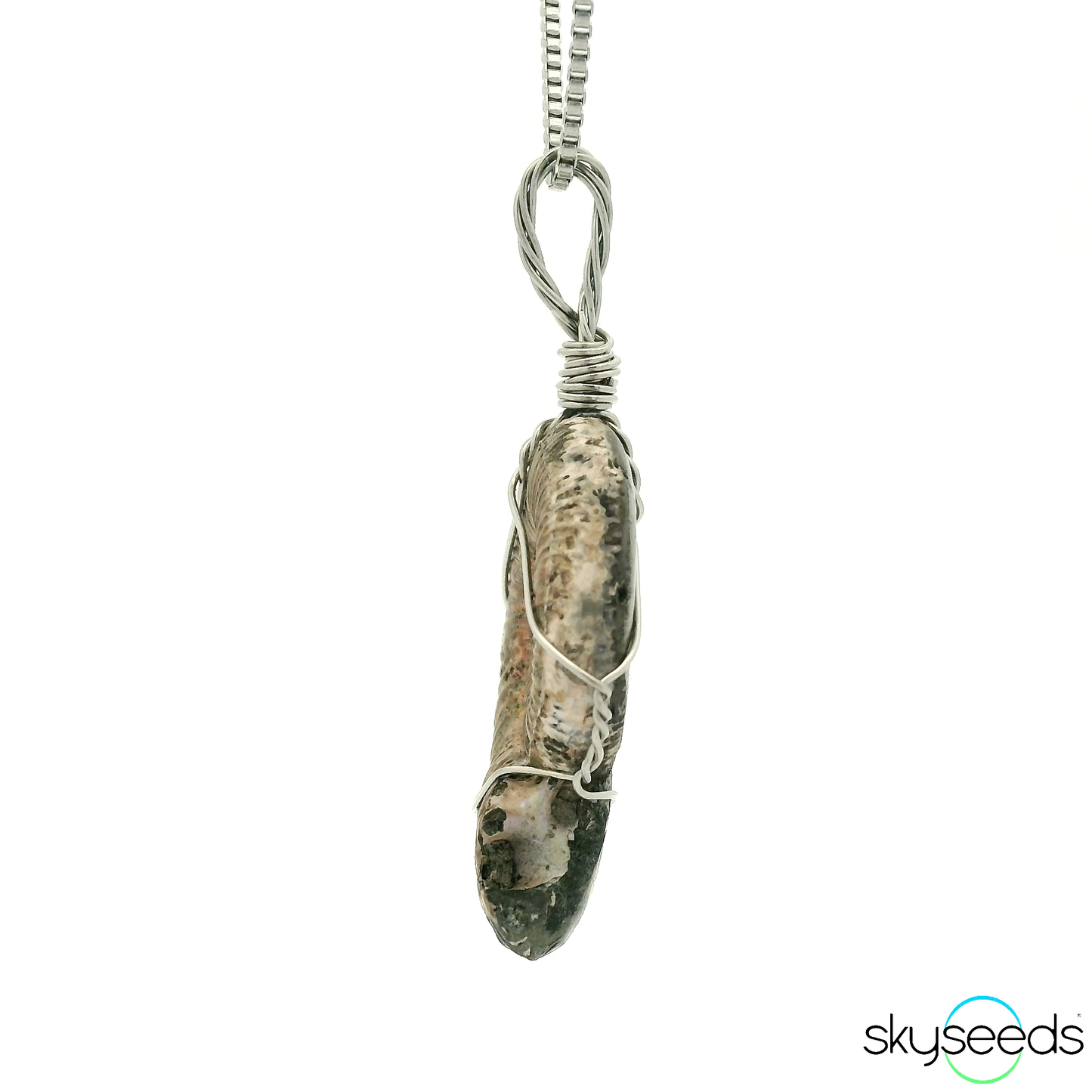 
                  
                    Pyritized Ammonite - Stainless Steel Pendant
                  
                