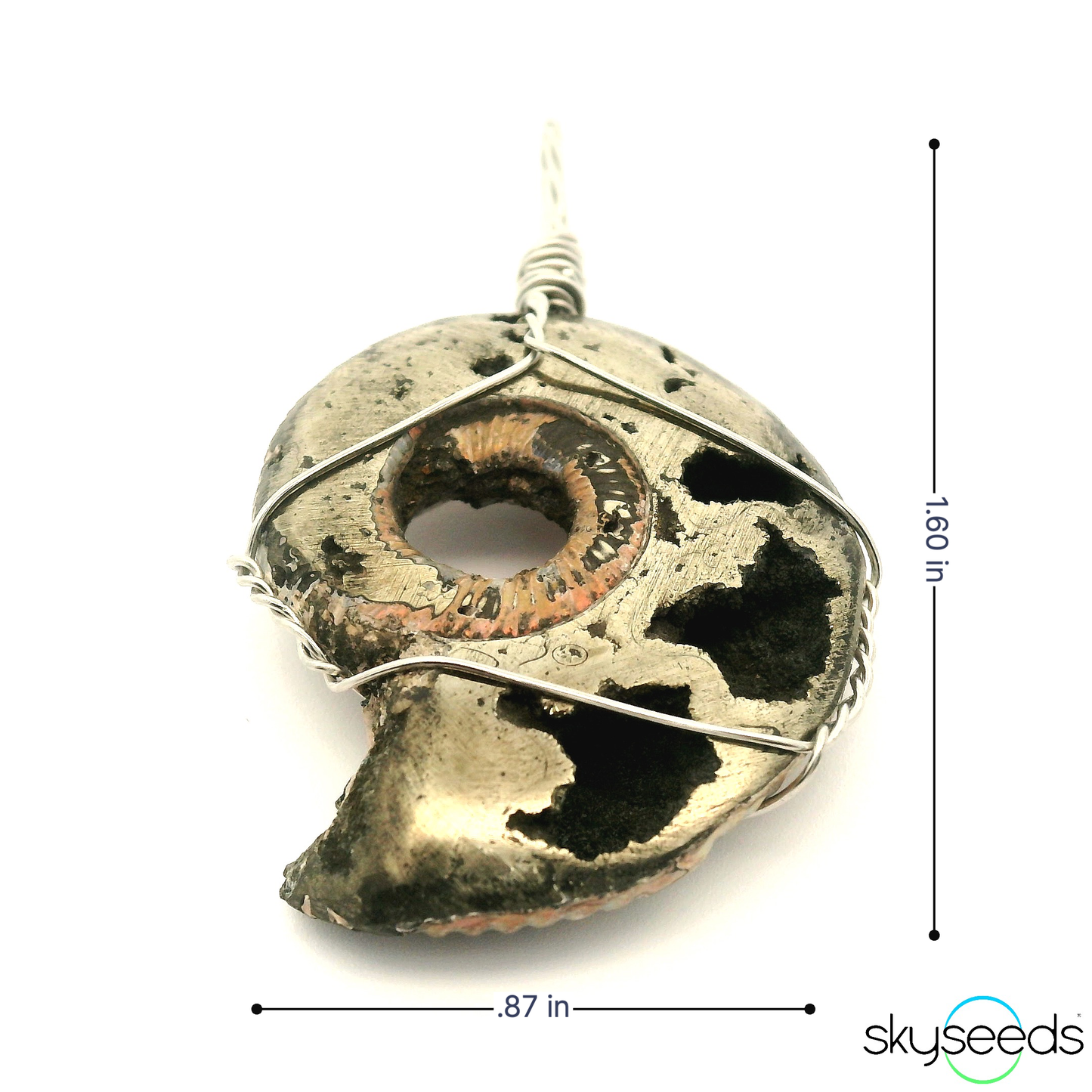 
                  
                    Pyritized Ammonite - Stainless Steel Pendant
                  
                