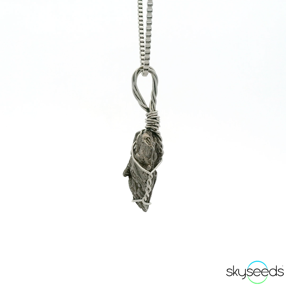 
                  
                    Meteorite - Stainless Steel Pendant
                  
                