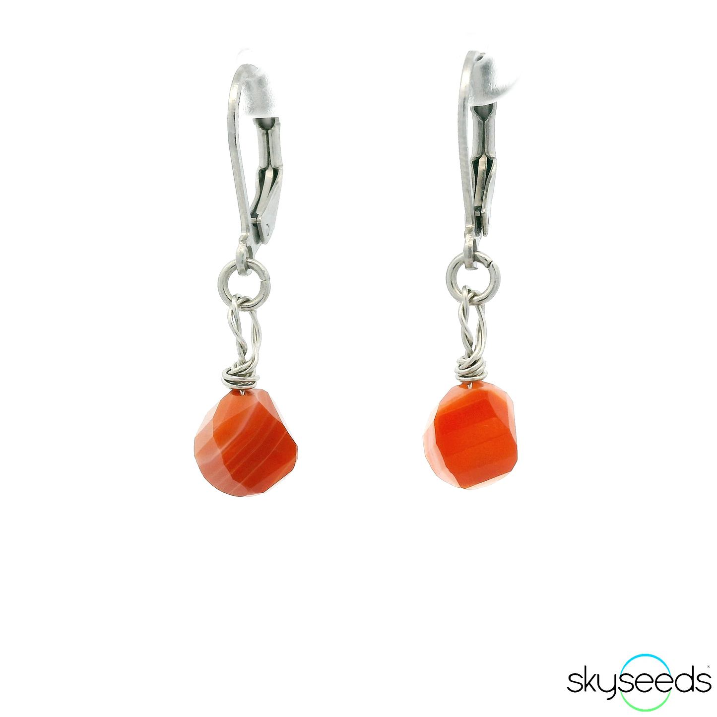 
                  
                    Carnelian - Stainless Steel Earrings
                  
                