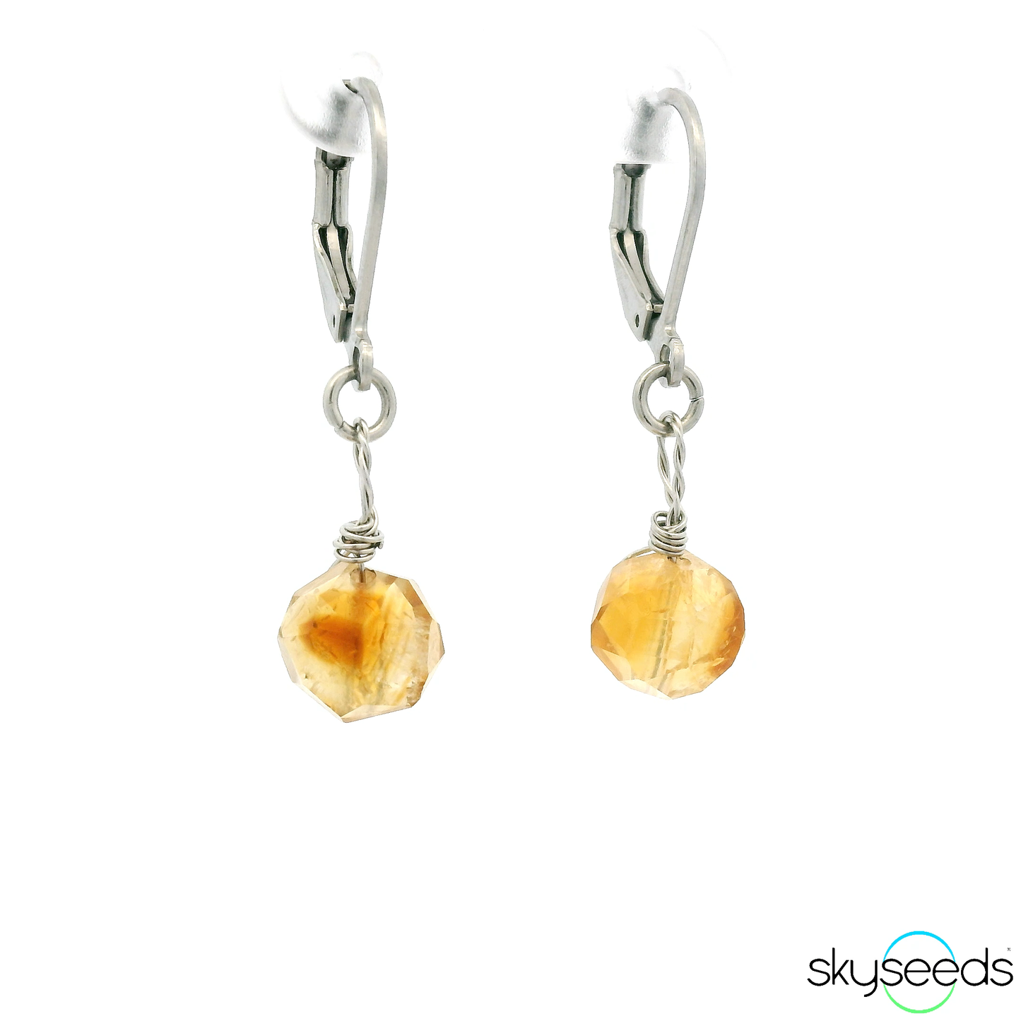 
                  
                    Citrine - Stainless Steel Earrings
                  
                