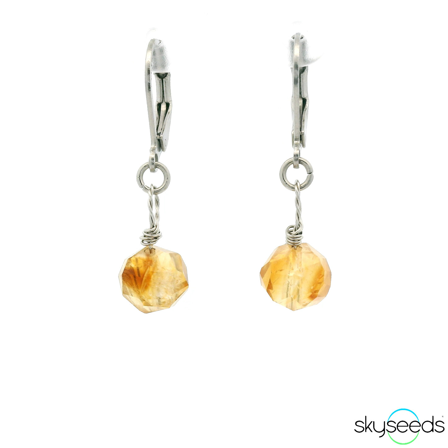 
                  
                    Citrine - Stainless Steel Earrings
                  
                