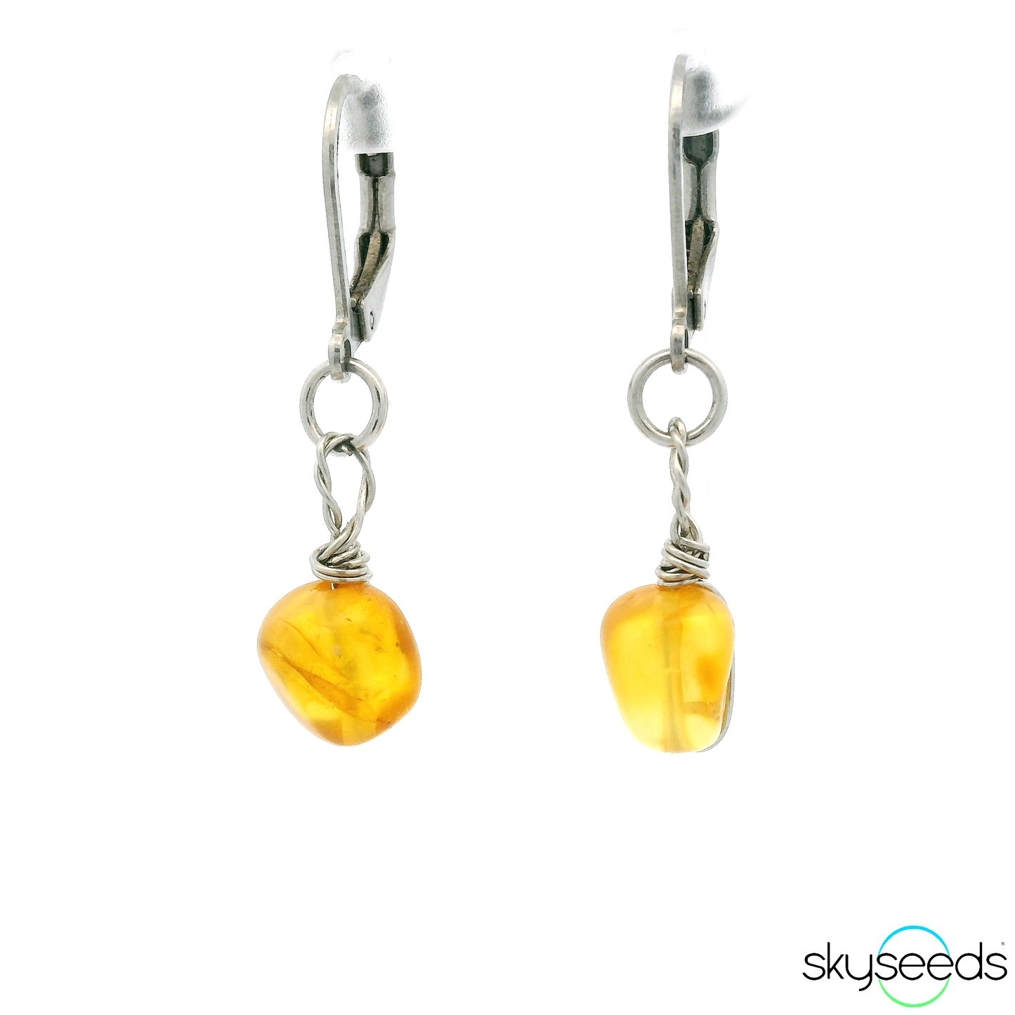 
                  
                    Amber - Stainless Steel Earrings
                  
                