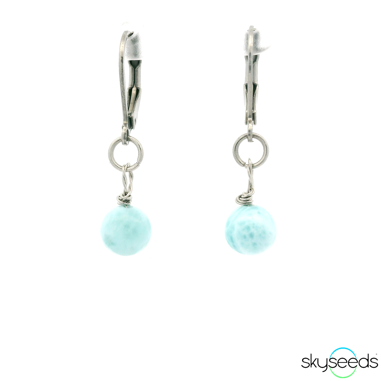 
                  
                    Larimar - Stainless Steel Earrings
                  
                