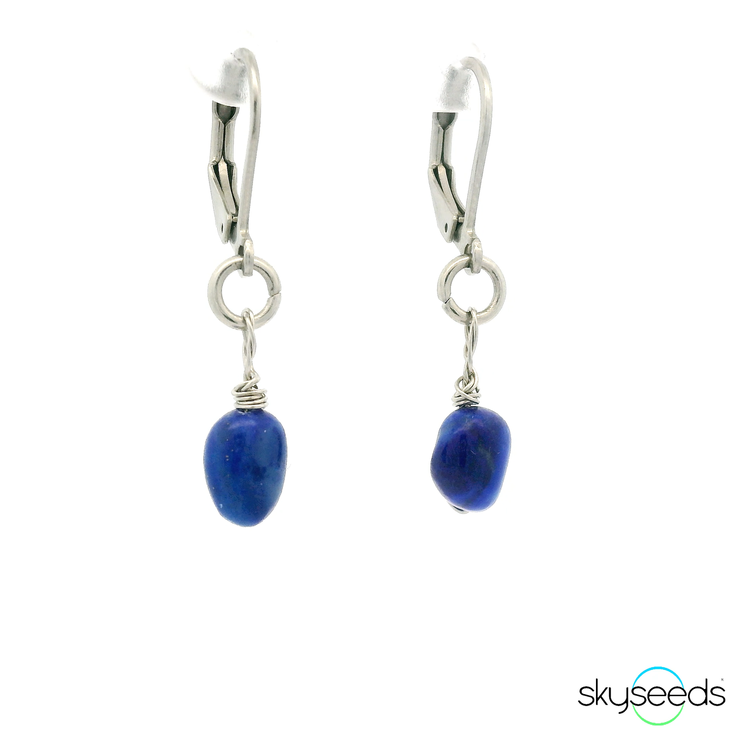
                  
                    Lapis Lazuli - Stainless Steel Earrings
                  
                