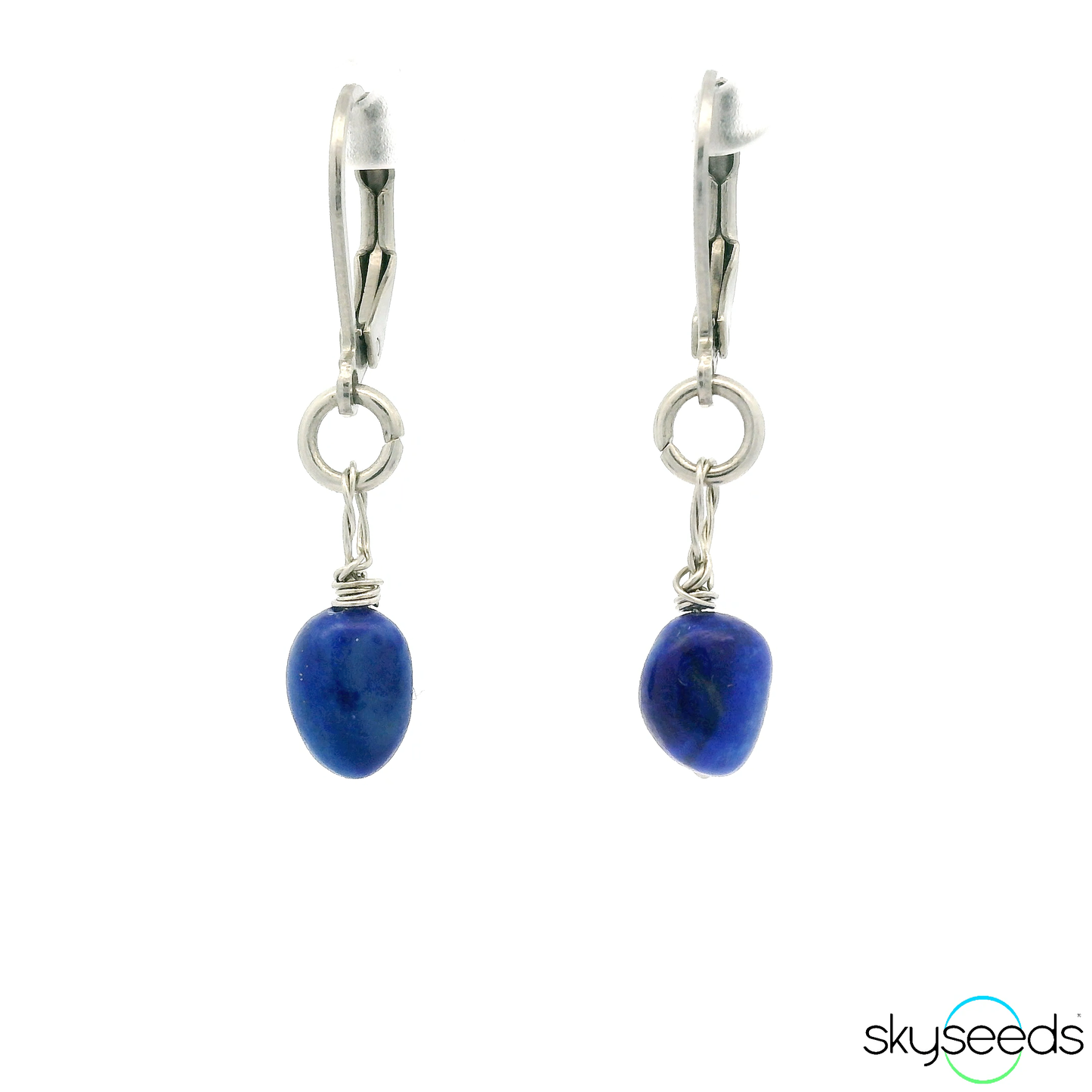 
                  
                    Lapis Lazuli - Stainless Steel Earrings
                  
                