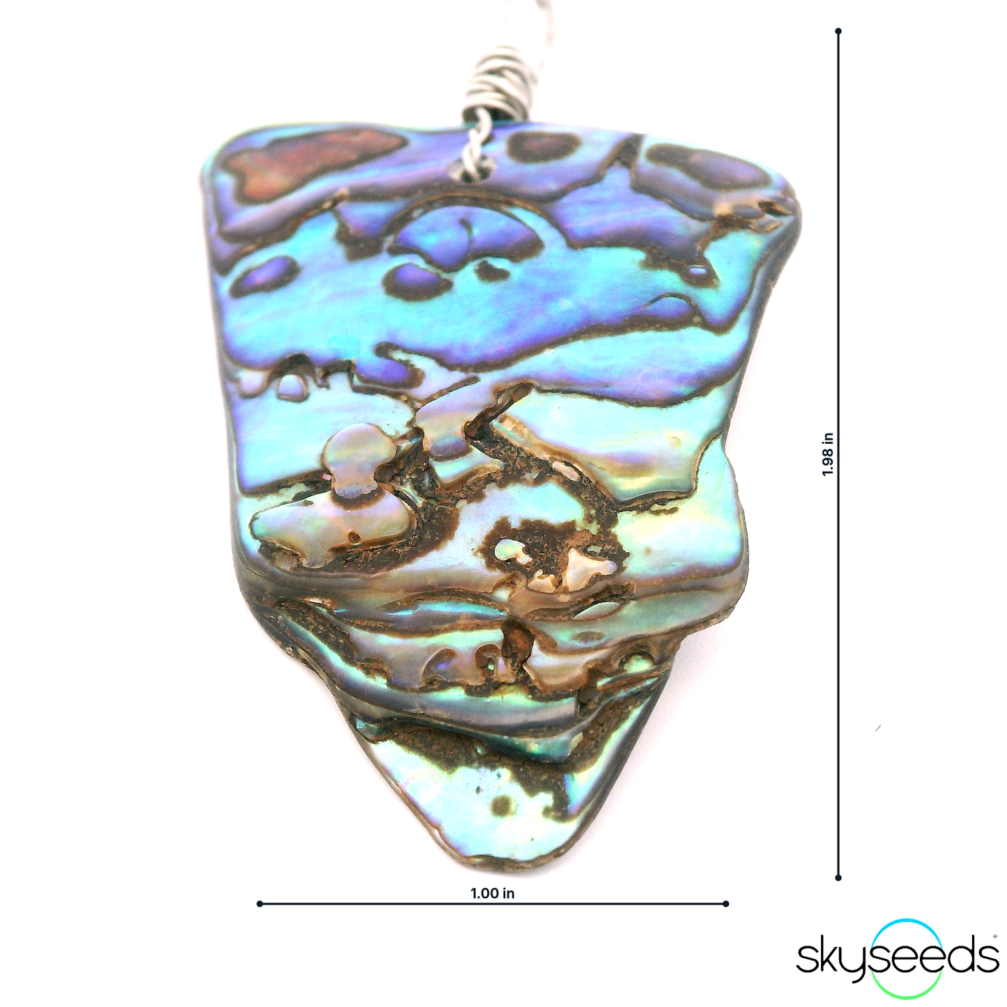 
                  
                    Abalone Shell - Stainless Steel Pendant
                  
                