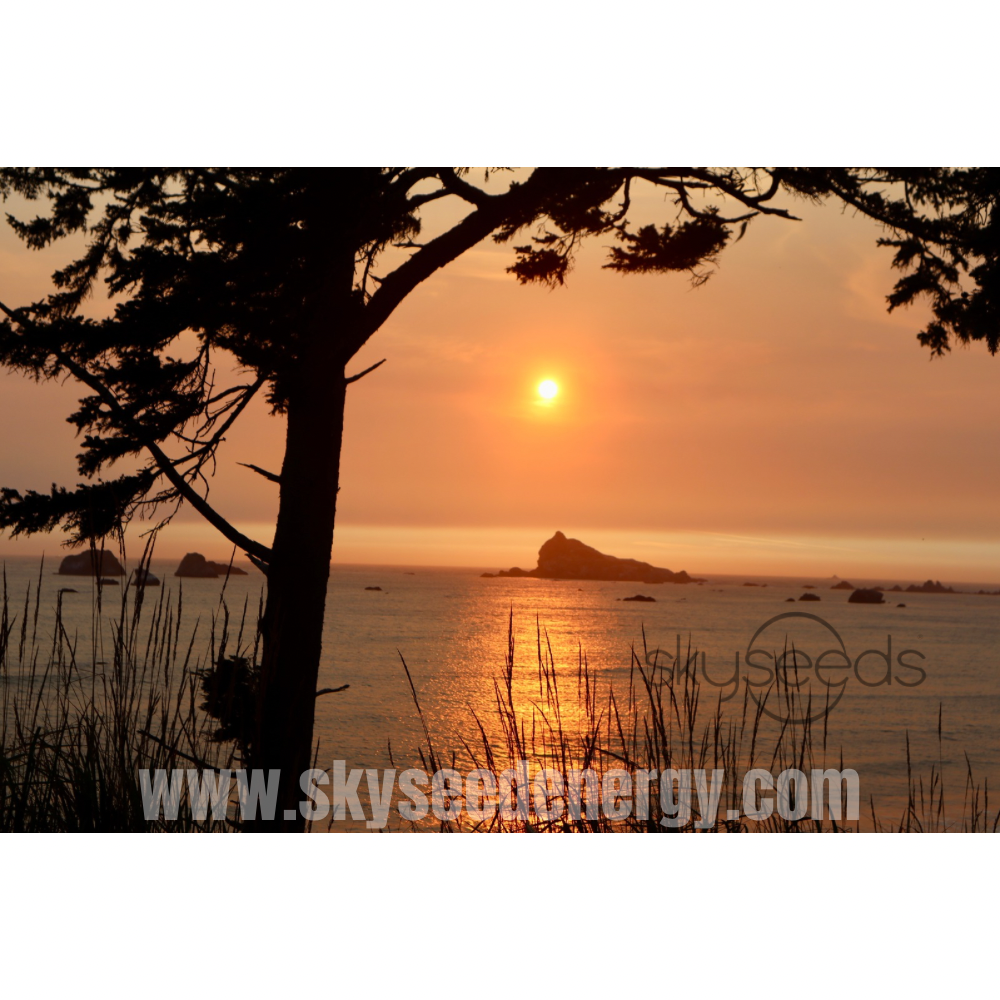 Oregon Coast Print